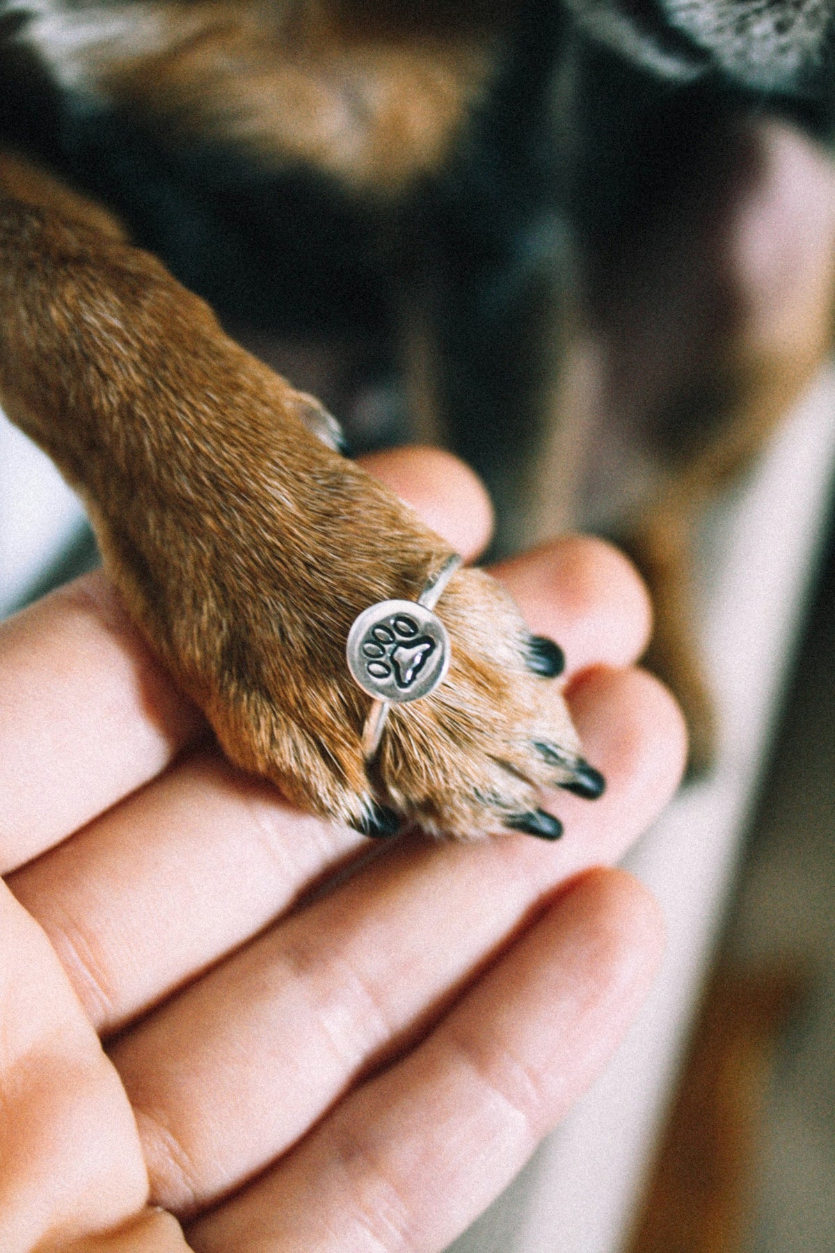 Pulsera de Huella de Mascota con Proyección